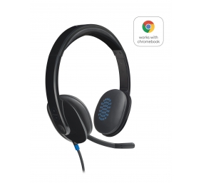 Ausinės Logitech H540 USB (981-000480), juodos